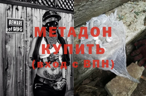стаф Алексин
