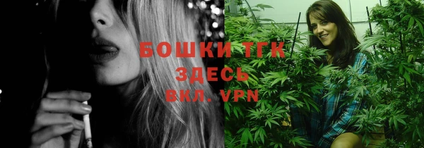 стаф Алексин