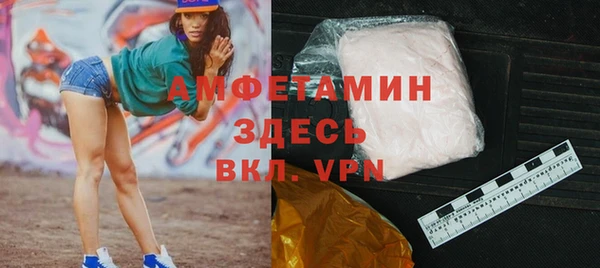 стаф Алексин