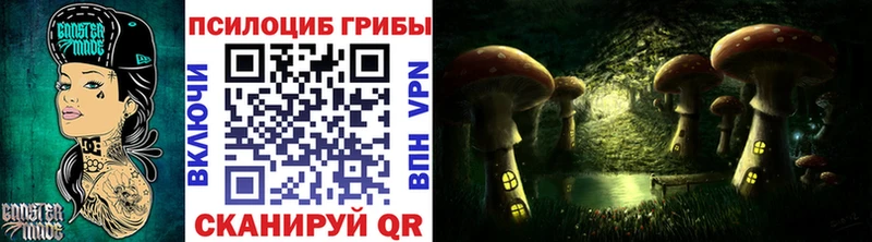 Галлюциногенные грибы Psilocybine cubensis  Купить  Вельск 
