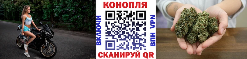 Бошки Шишки семена  Купить где  Вельск 